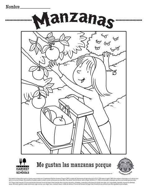 coloring pages  spanish class boringpopcom