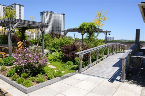 green rooftop deck design ideas  garden  patio home guide