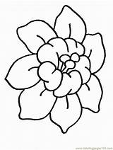 Flower Coloring Flowers Printable Pages Color Online Natural Sheets Drawing Para Draw Dibujos Colorear sketch template