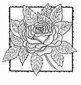 Frantic Stamper Cling Mounted Stamp Rubber Rose Square sketch template