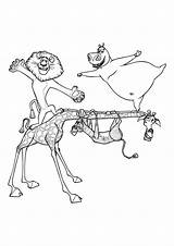 Melman Gloria Marty Madagascar Colorings Recordar Presionar sketch template