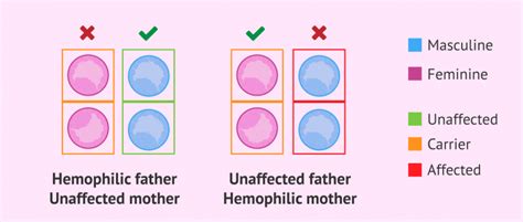 sex selection in order to avoid hemophilia inheritance