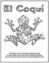 Coqui Coloring Printable Frog Book Taino Puerto Rico Pages Kids Printables Just Click sketch template