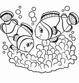 Fish Coloring Clown Color Couple Pages Getcolorings Printable sketch template