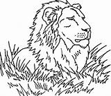 Savanna Coloring Pages Grassland Animals Lion Clipart Grasslands Drawings African Animal Library Color Popular Gif Coloringhome Comments Wild sketch template