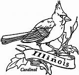 Coloring Cardinal Illinois Bird Red Printable Getcolorings Pages Getdrawings Color sketch template