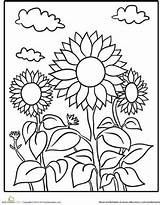 Sunflower Coloring Pages Kindergarten Worksheets Sunflowers Nature Colorir Sheet Flower Themed Para Summer Patch Worksheet Education Preschool Kids Printable Spring sketch template