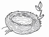 Nest Clipart Outline Cliparts Library sketch template