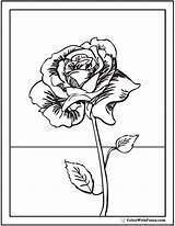Coloring Rose Pages Printable Pdf Printables Colorwithfuzzy Stem Long Kids sketch template