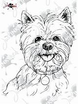 Coloring Yorkie Pages Westie Getcolorings Terrier Printable Head Highland Color West Getdrawings sketch template