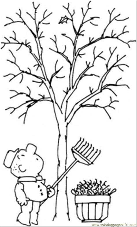 coloring pages tree  fall natural world seasons  printable