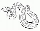 Coloring Python Pages Snake Library Clipart sketch template