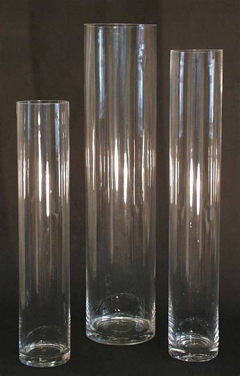 13 Best Tall Glass Cylinder Vases 2024