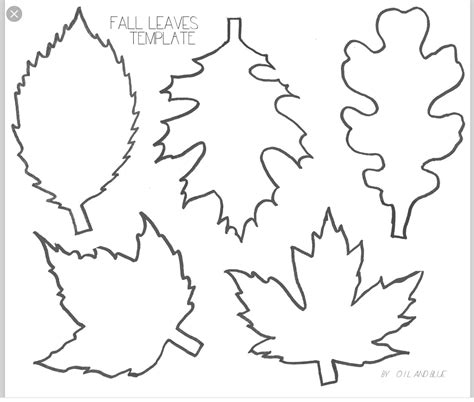 pin  lucie davis  skolka worksheets fall leaf template leaf