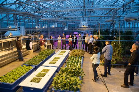 cornell group explores future  indoor farming cornell small farms
