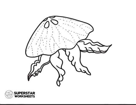 jellyfish worksheets superstar worksheets
