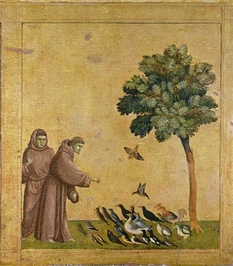 Saint Francis Of Assisi Preaching To The Birds Painting By Giotto Di