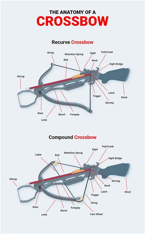 crossbow diagram