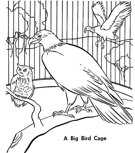 big bird cage coloring pages  place  color