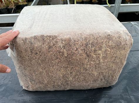 sphagnum moss  kg bale approx