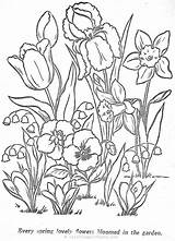Flori Colorat Desene Colorir Planse Crocus Desenhos Kwiaty Kolorowanki Plante Wiosenne Relier Coloriages Elf Chomikuj Zentangle Valley Visitar Daffodils sketch template