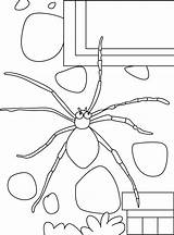 Bestcoloringpages Insect Insects sketch template