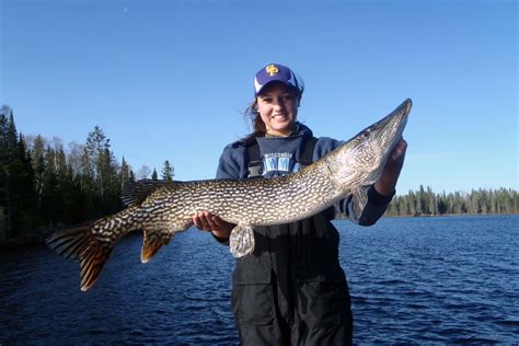 red lake fishing ontario canada walleye fishing red lake