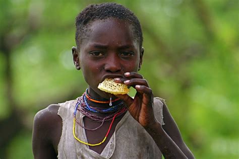 What A Hunter Gatherer Diet Does To The Body Cnn