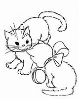 Pages Colorare Gatti Gattini Kitten Coloring Sheets sketch template