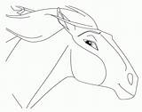 Spirit Coloring Cimarron Stallion Horse Pages Rain Drawing Drawings Sketches Easy Lineart Draw Deviantart Animals Popular Coloringhome Getdrawings Comments Library sketch template