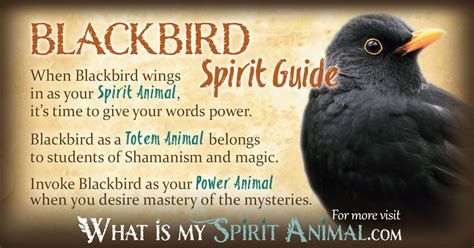 blackbird symbolism meaning blackbird spirit totem power animal crow spirit animal