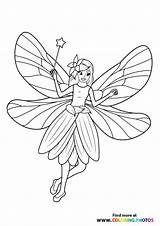 Fairy Wand Fairies sketch template