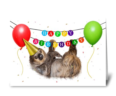 lazy sloth happy birthday  send  greeting card designed