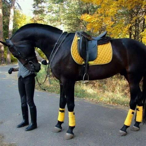 smart country horse fashion stunning  yellow   boots