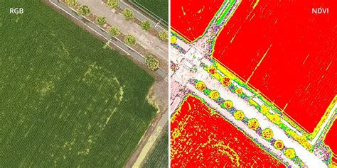 enterprise scale dji introduces  p multispectral  precision agriculture  land