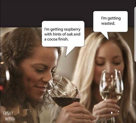 Pin By My Info On Drinking Funnies Wine Jokes Wine Humor Wine Meme