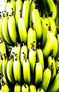 カナーン・バナナ に対する画像結果.サイズ: 120 x 185。ソース: ganref.jp