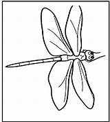 Dragonfly Coloring Pages Printable Kids sketch template