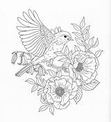 Coloring Pages Adult Nature Harmony Bird Printable Drawing Book Animal Color Print Colouring Adults Flower Sheets Pg Books Drawings Cool sketch template
