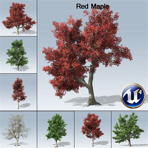 red maple ue speedtree