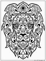 Coloring Lion Pages Adult Printable Zen Print Stencils Prints Designs Head Large sketch template