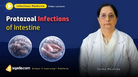 Protozoal Infections Of Intestine Clinical Medicine Video V