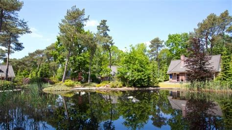 droompark beekbergen beekbergen gelderland nederland