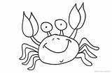 Crab Coloring Pages Printable Adults Kids sketch template