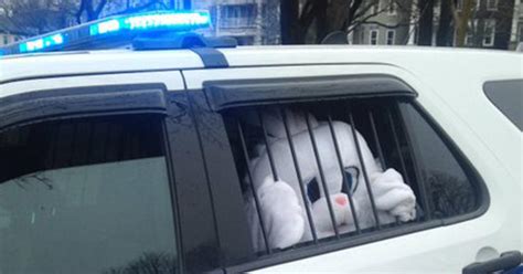 Easter Bunny Arrested By Boston Police Cbs Boston