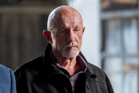 mike ehrmantraut     delusional character  breaking