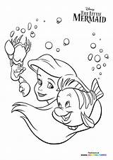 Flounder sketch template