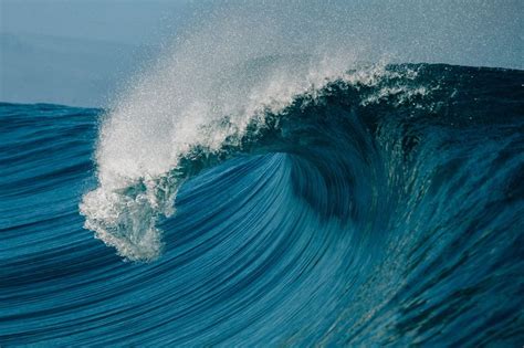 Barrel Wave Crashing Over Reef Tahiti French Polynesia Ocean Waves