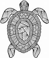 Turtle Zen Tortue Coloriages Difficile Incroyable Tortues Beau Inspirant 101coloring Adulte Benjaminpech sketch template