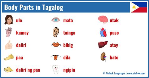 body parts  tagalog